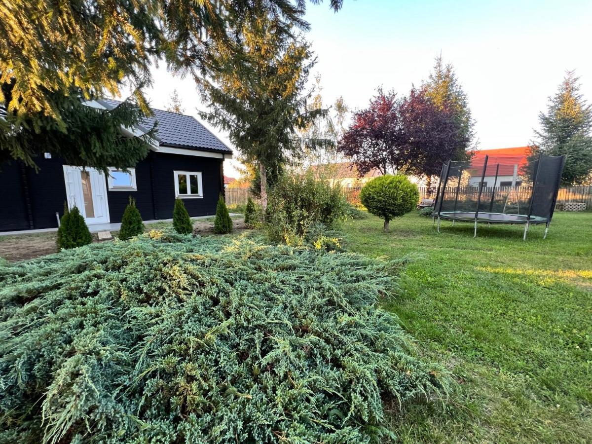 Vila Scandinavia Sangeorgiu de Mures Bagian luar foto