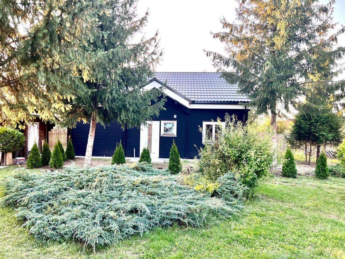 Vila Scandinavia Sangeorgiu de Mures Bagian luar foto
